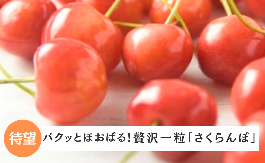 楽天市場】【レンタル】宅配レンタル 単衣着物セット「XLサイズ